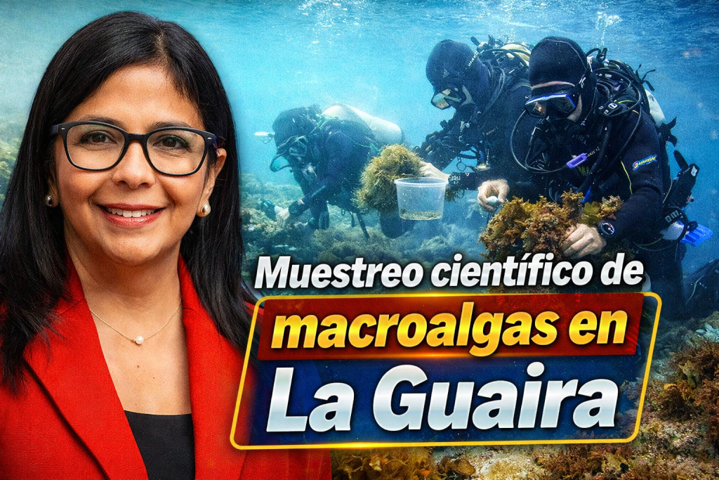 Muestreo científico de macroalgas en La Guaira estudio clave para la conservación marina en 2026